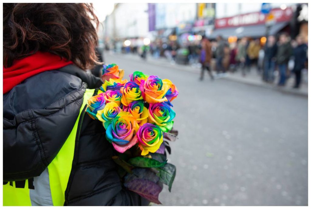 Multicoloured roses in Camden